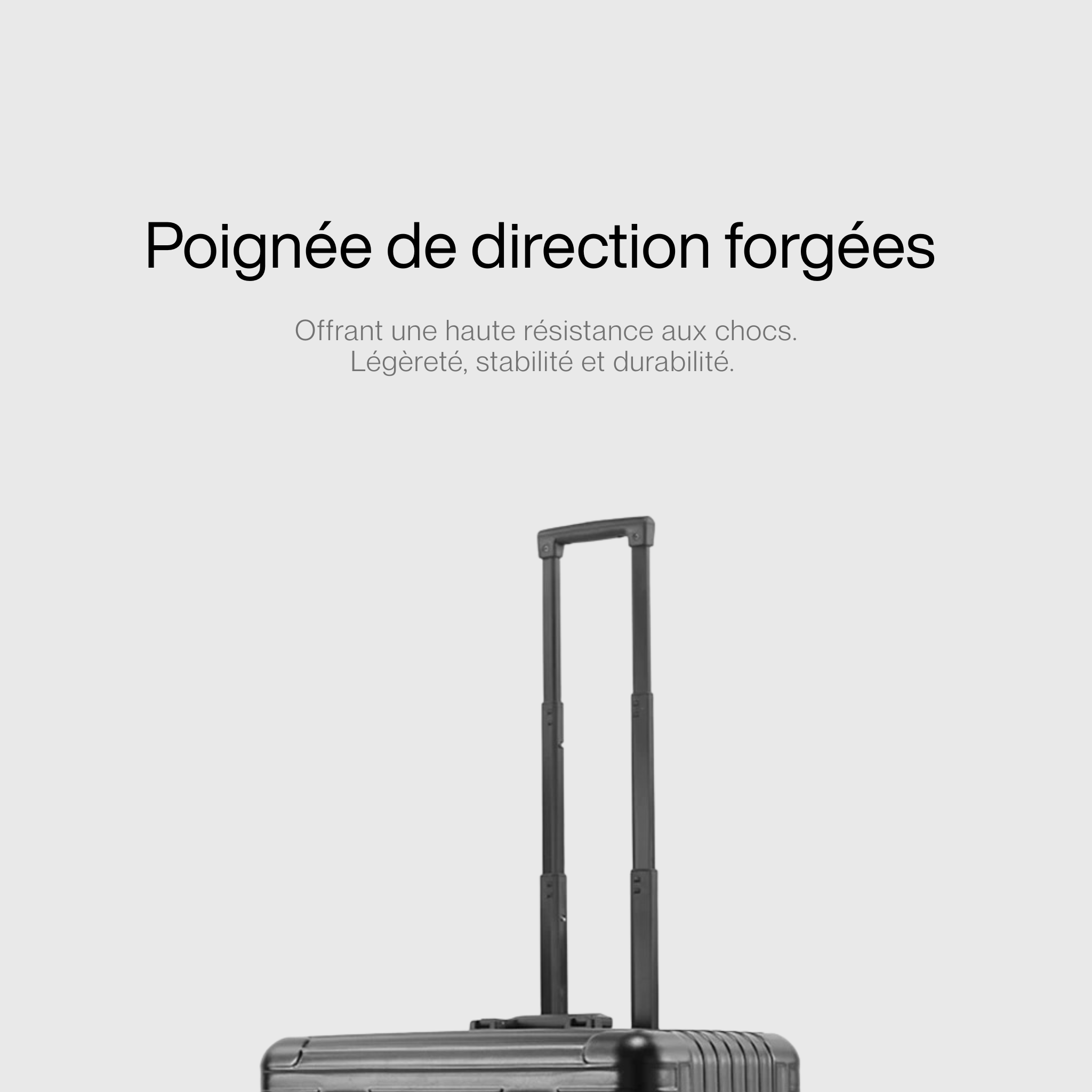 Valise Cabine Business Pro