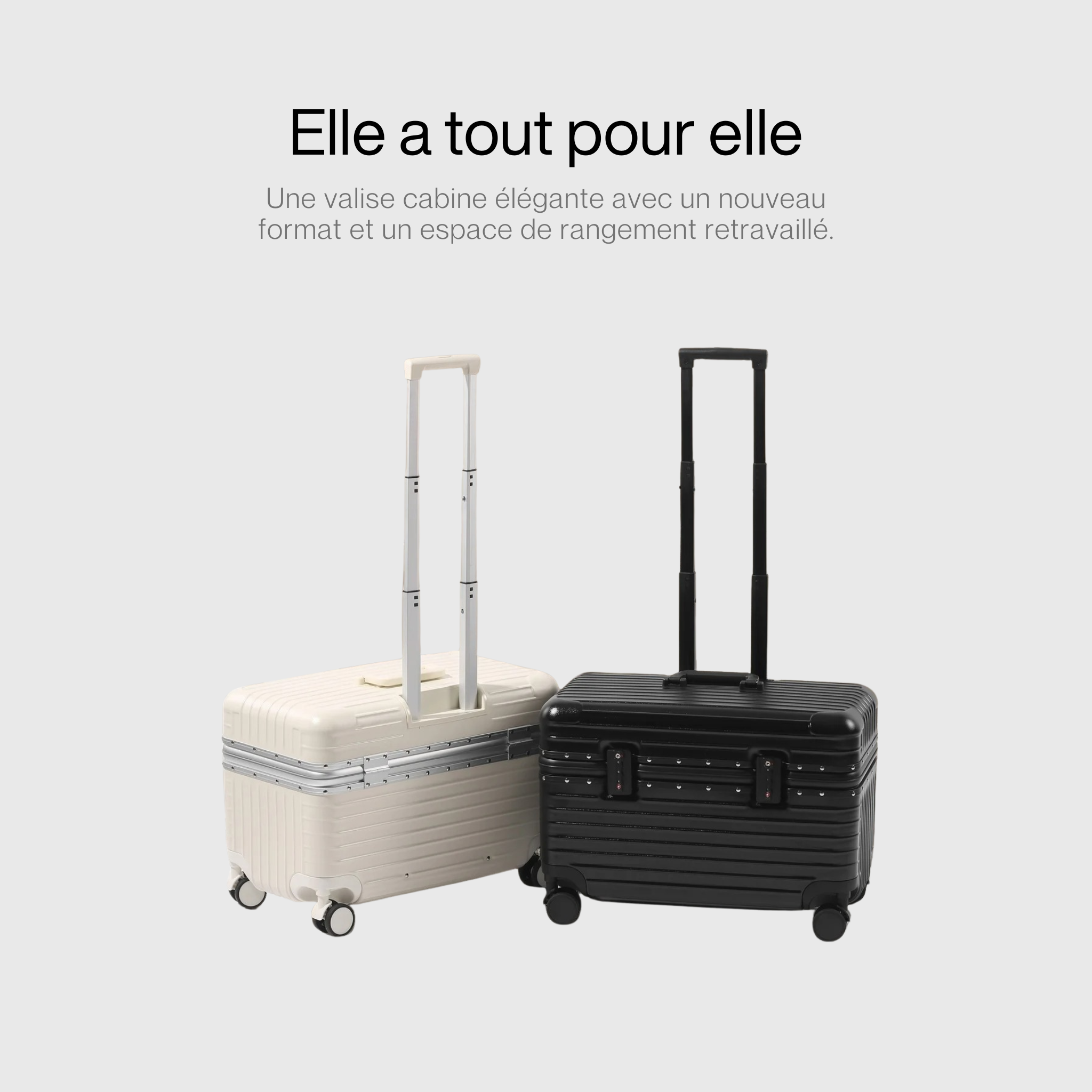 Valise Cabine Business Pro